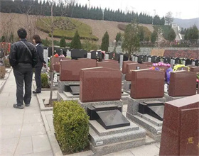 公墓在线咨询服务